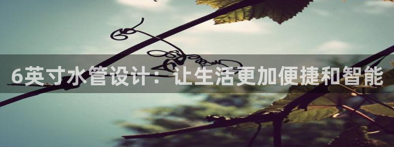 天辰娱乐招商
