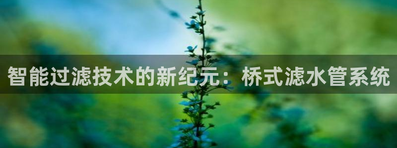 天辰娱乐娱乐