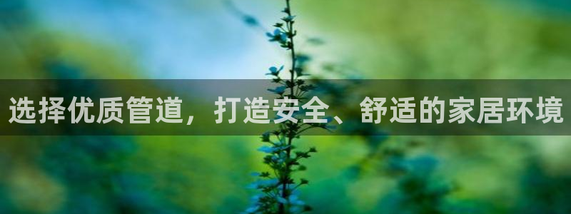 天辰a娱乐