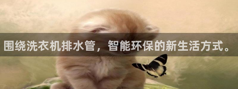 天辰娱乐官网平台下载