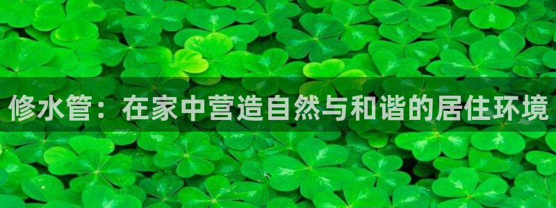 天辰娱乐反水