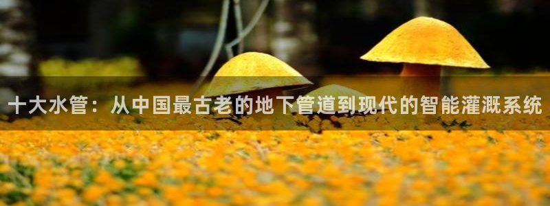 天辰娱乐 231639
