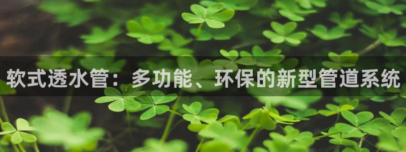 天辰娱乐 849852