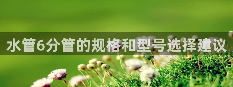 天辰娱乐557696