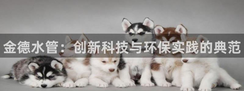 天富天辰娱乐