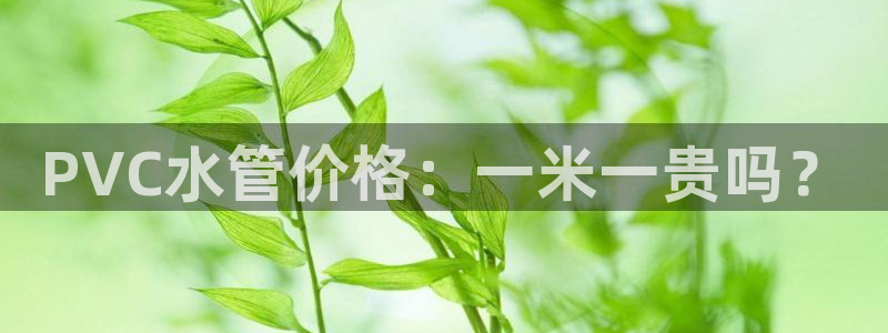 天富娱乐天辰娱乐