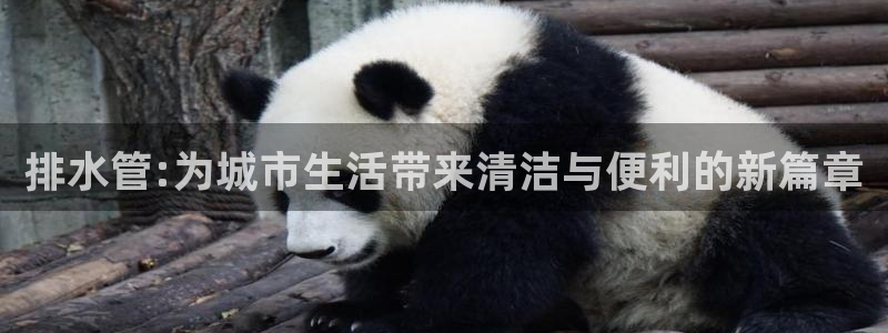 天辰娱乐 主管