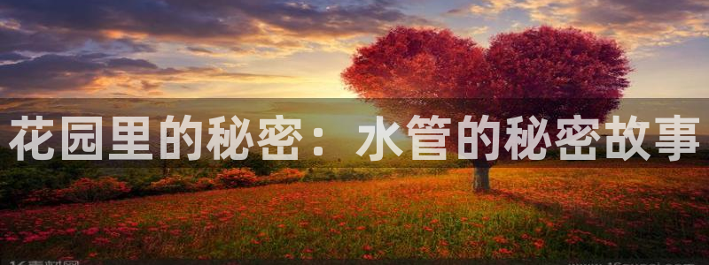 天辰娱乐十分彩