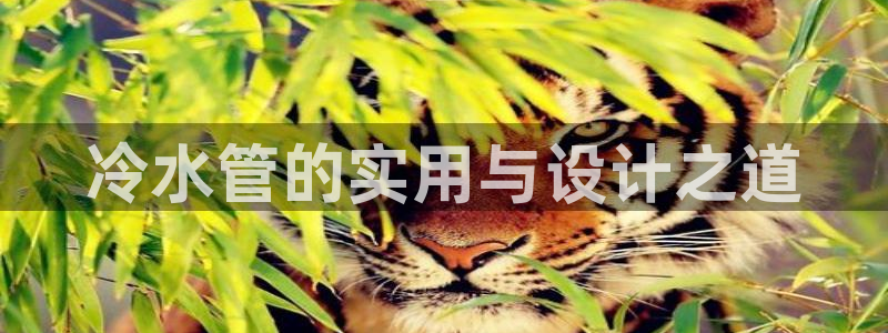 天辰娱乐网址娱乐游戏