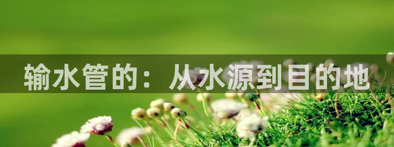 天辰娱乐游戏平台怎么样