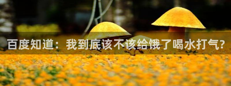 天辰娱乐728567
