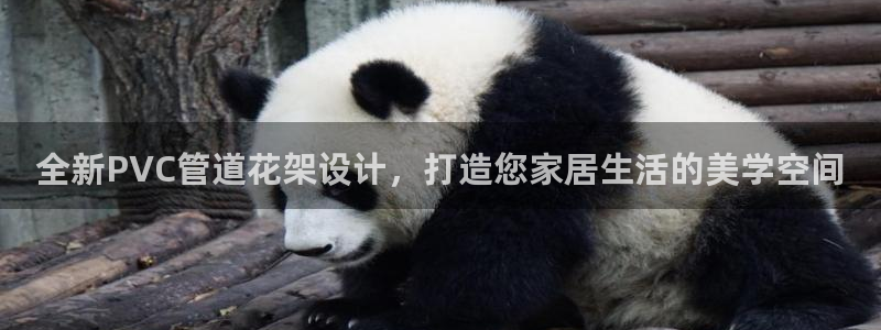 天辰娱乐新闻