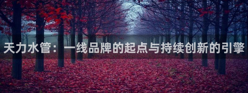 天辰娱乐会员