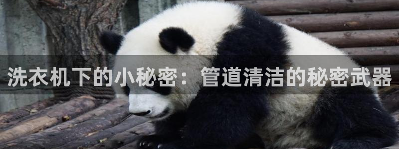 天辰娱乐会所