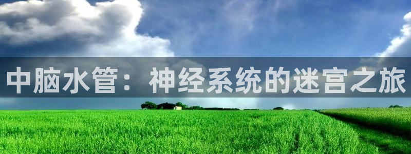 天辰天辰娱乐