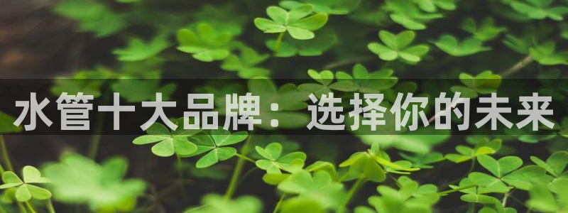 天辰娱乐53551