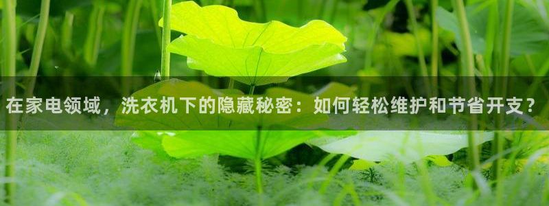 天辰娱乐论坛