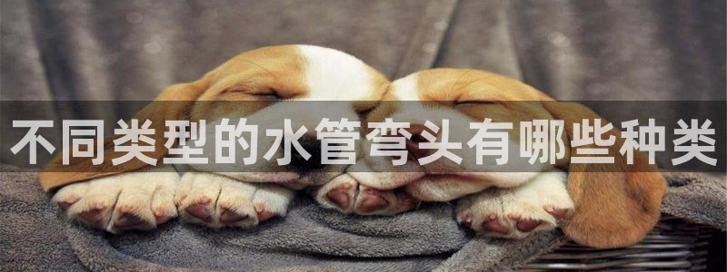 天辰娱乐娱乐注册