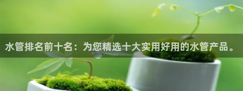 天辰娱乐总管
