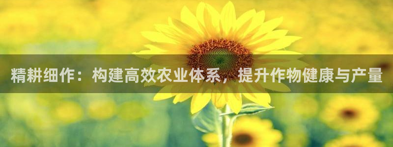 天辰娱乐 首选