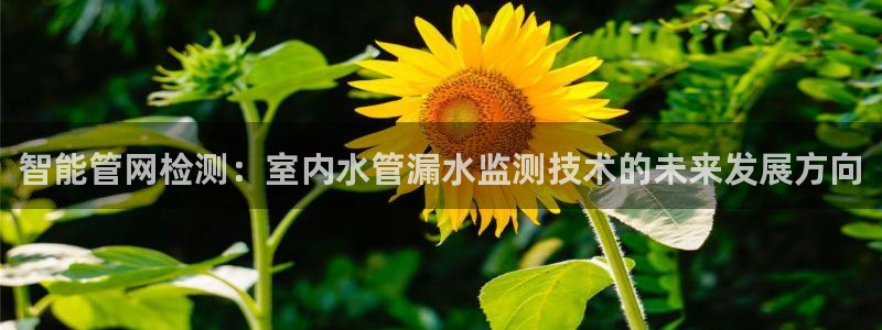 天辰娱乐 849852