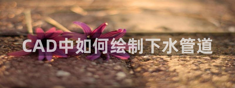 天辰娱乐文案