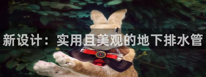 天辰娱乐白屏