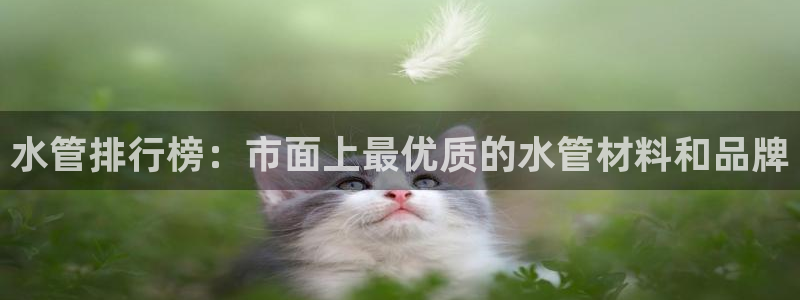 天辰娱乐平台