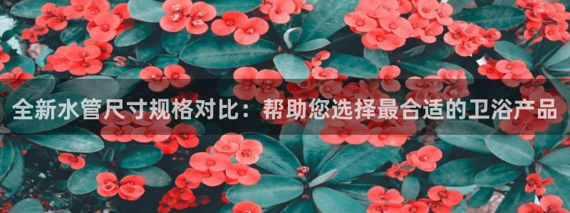 天辰娱乐APP下载