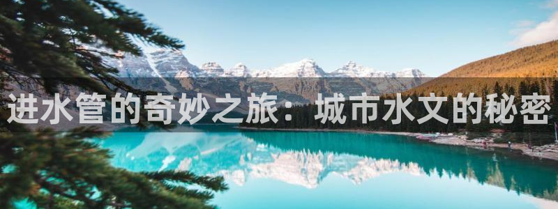 天辰娱乐官