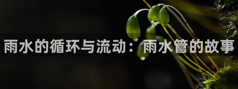 天辰娱乐白屏