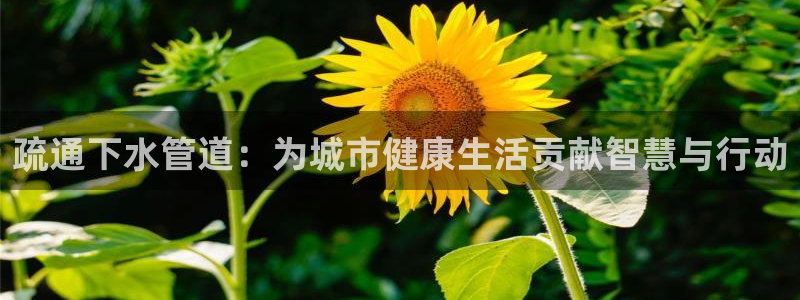 天辰娱乐海洋