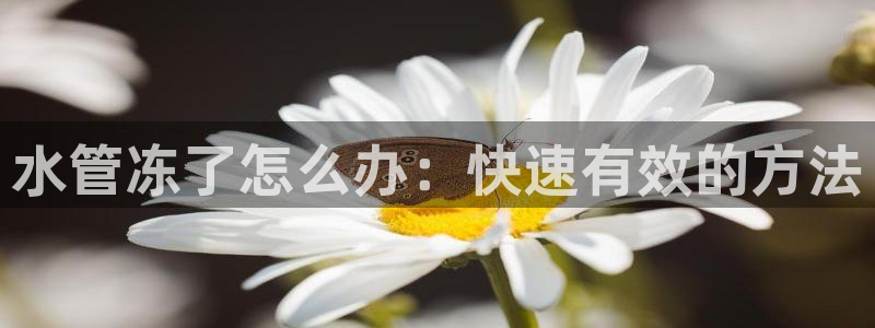 天辰娱乐输了