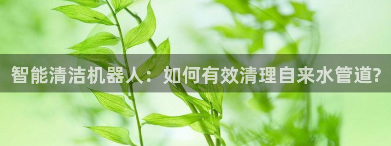 天辰娱乐ttf
