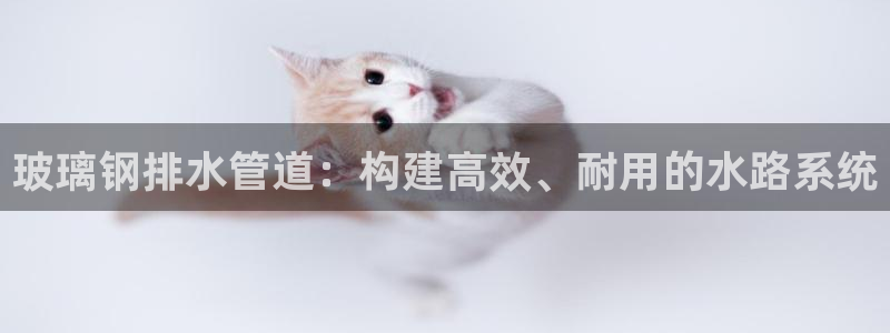 天辰娱乐平台地址在哪里