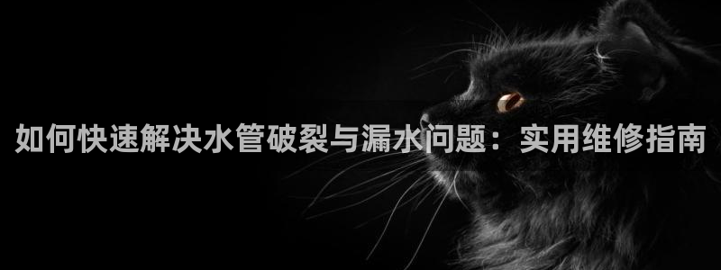 天辰娱乐总管年薪