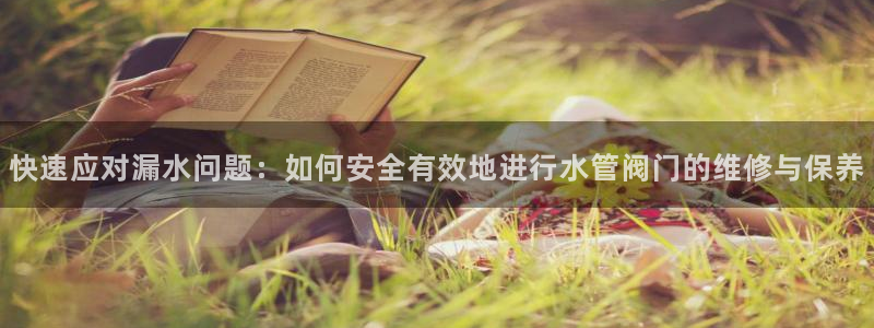 天辰娱乐557448