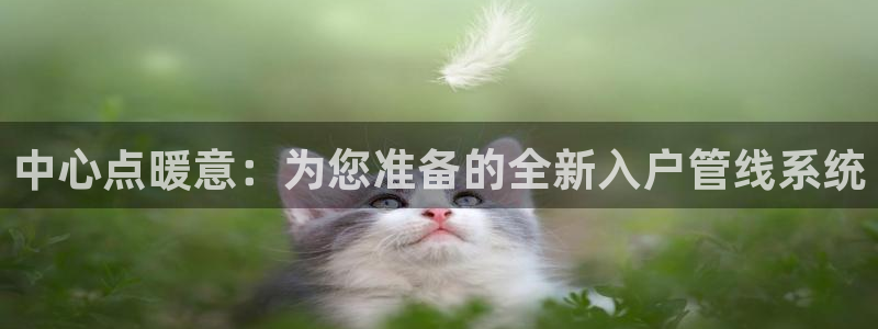 天辰娱乐股东