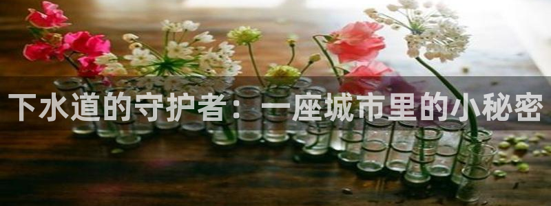 天辰娱乐APP下载