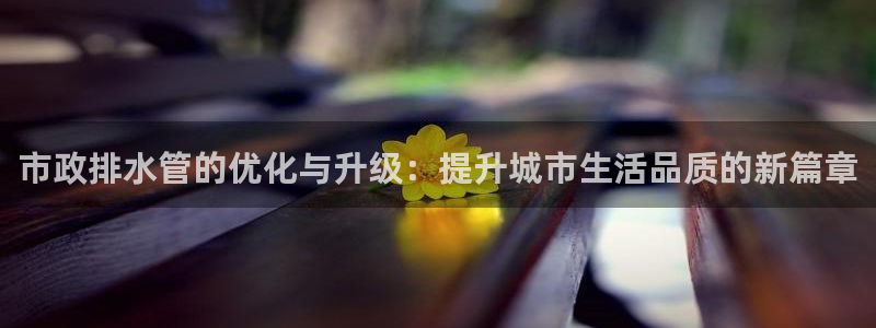 南充天辰娱乐