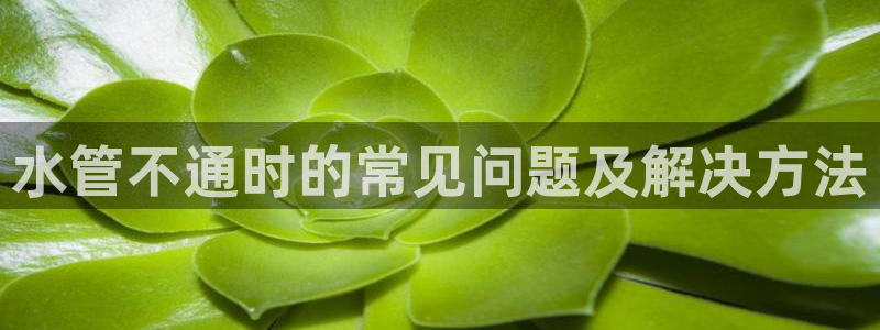 nba天辰娱乐