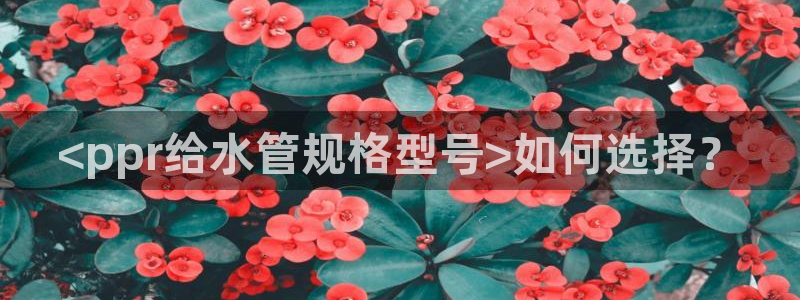 天辰娱乐44516