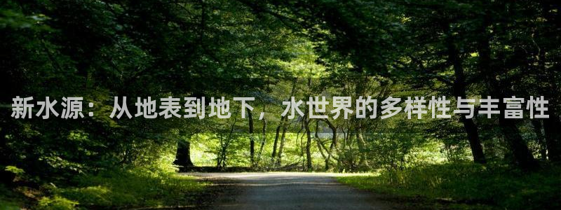 天辰娱乐输了