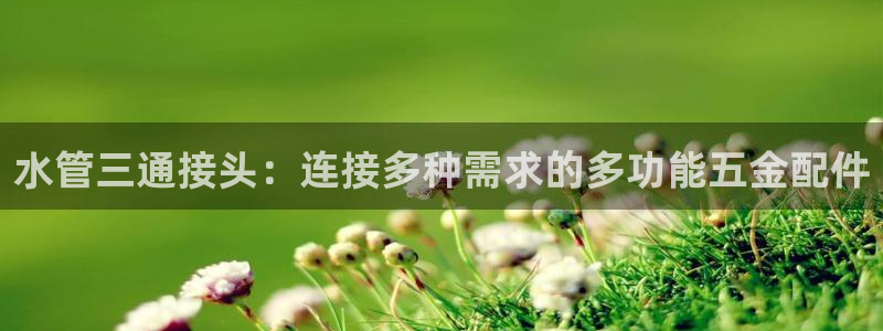 天辰娱乐分红