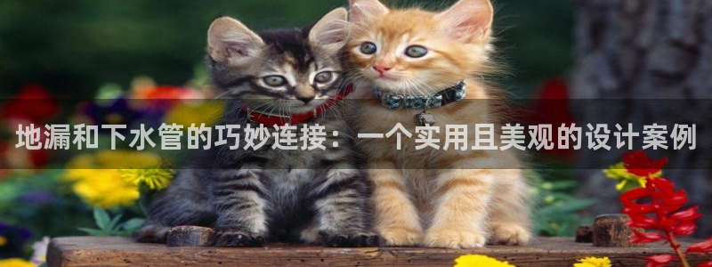 天辰娱乐885544