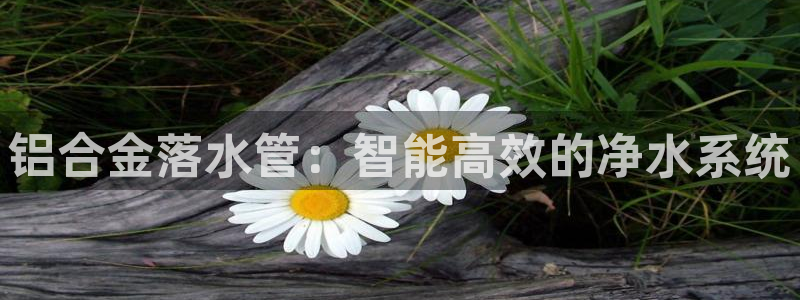 天辰天辰娱乐