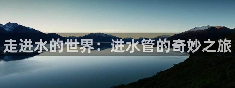 天辰娱乐 849852