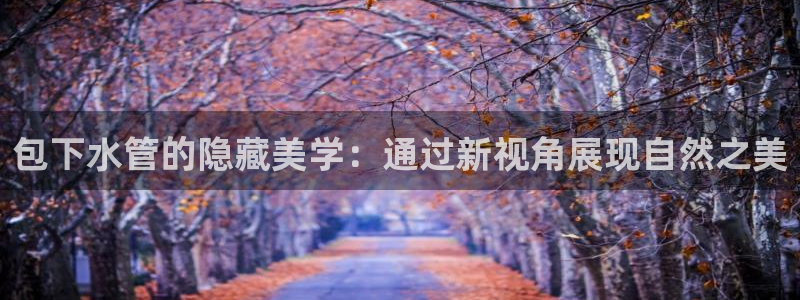 天辰娱乐官方网