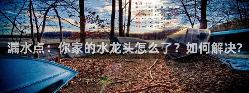 天辰娱乐tff