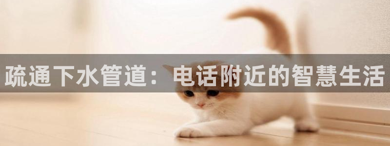 天辰娱乐客服